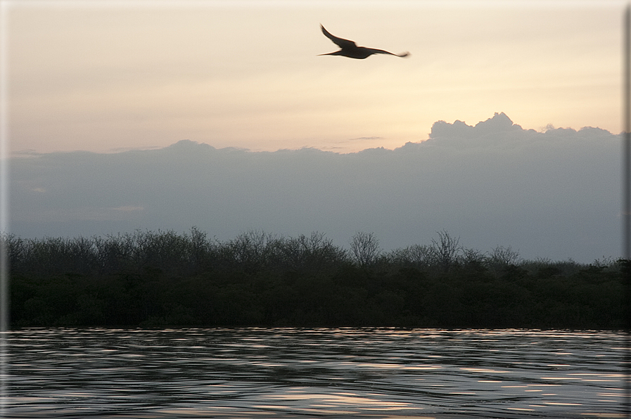 foto Isole Galapagos